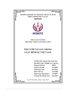 Tiểu luận cuối kỳ tội cướp tài sản trong luật hình sự việt nam