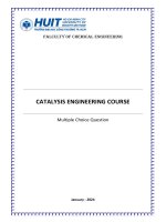Catalysis engineering course multiple choice question