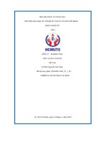 Tiểu luận cuối kỳ đề tài sản phẩm của loli  the wolf