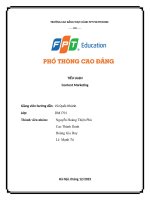 Tiểu luận content marketing buddy hair là một thương hiệu liên quan đến làm đẹp tóc