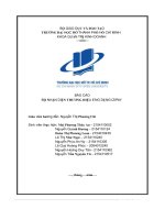 (Tiểu luận) báo cáo bộ nhận diện thương hiệu ứng dụng izipay