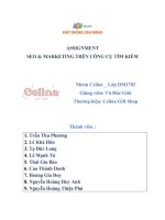 Tiểu luận assignment seo  marketing trên công cụ tìm kiếm  celina gift shop