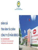 Đánh giá tình hình tài chính công ty bibica