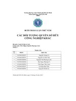 Buổi thảo luận thứ năm các đối tượng quyền sở hữucông nghiệp khác