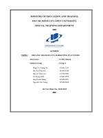 (Tiểu luận) summittopic organic squeeze co’s marketing plan guide