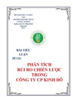 Tiểu Luận - Rủi Ro Và Khủng Hoảng - Đề Tài - Phân Tích Mô Hình  Quản Trị Rủi Ro Chiến Lược Của Công Ty Cổ Phần Kinh Đô