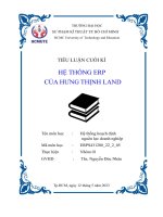 Tiểu luận cuối kì hệ thống erp của hưng thịnh land