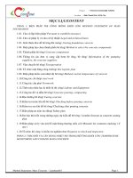 Thuyết minh biện pháp bê tông khối lớn dự án METHOD STATEMENT OF MASS FOUNDATION