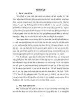 Tiểu luận về mối quan hệ giữa dân tộc và giai cấp trong cách mạng dân tộc dân chủ nhân dân ở việt nam (1930 1975)