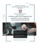 Tiểu luận cuối kỳ xây dựng chiến lược marketing mix cho công ty cung cấp dịch vụ tự pha chế body mist beuniq