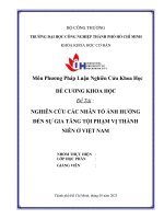 Đề tài  nghiên cứu các nhân tố ảnh hưởng đến sự gia tăng tội phạm vị thành niên ở việt nam