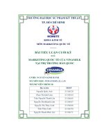 Bài tiểu luận cuối kỳ marketing quốc tế của vinamilk tại thị trường hàn quốc