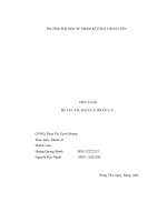 Tiểu luận đề tài tác hại của thuốc lá