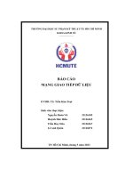 Báo cáo mạng giao tiếp dữ liệu