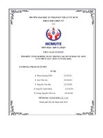 Tiểu luận cuối kỳ tìm hiểu về kcđ đóng ngắt trung cao áp có bảo vệ  máy cắt thủy lực, máy cắt gis (sf6)