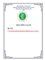 Tiểu luận - khởi sự doanh nghiệp - đề tài - Ý TƯỞNG KINH DOANH TRỒNG RAU SẠCH