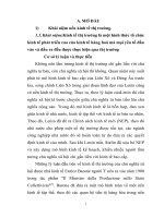 Tieu luan kinh tế thị trường