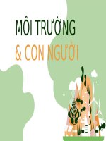 Môi trường  con người  đây là một công cụ lưu trữ năng lượng phổ biến nhưng pin cũng là một “mỏ” hóa chất độc hại