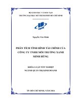 Phân tích tình hình tài chính của công ty tnhh môi trường xanh minh hùng