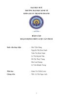 Báo cáo hoạch định chiến lược sản phẩm  quản trị chiến lược vinfast