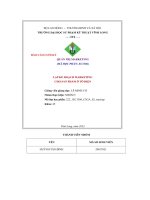 Cuối kì quản trị marketing quản trị marketing lập kế hoạch marketing cho sản phẩm ô tô điện