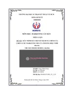 Tiểu luận hãy trình bày một số nội dung chính của chiến lược marketing mix của thương hiệu thời trang the southside homies ( theshs)