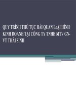 Quy Trình Thủ Tục Hải Quan Loại Hình Kinh Doanh Tại Công Ty Tnhh Mtv Gn-Vt Thái Sinh