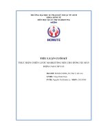 Tiểu luận cuối kỳ thực hiện chiến lược marketing mix cho dòng xe máy điện cao cấp u e