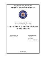Báo cáo thực tập khoa kinh tế đại học thương mại   công ty tnhh phát triển thương mại và dịch vụ phúc lâm