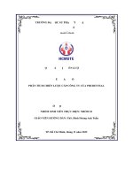 Phân tích chiến lược cấp công ty của prudential