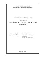 Báo cáo thực tập khoa kinh tế đại học thương mại   công ty cổ phần năng lượng và tầm nhìn mới
