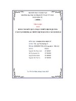 Báo cáo kết quả chạy chiến dịch quảng cáo facebook  chiến dịch quảng cáo google