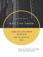 B áo cáon hóm tableau giải pháp businessint elligence