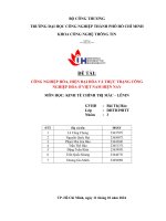 ĐỀ TÀI CÔNG NGHIỆP HÓA, HIỆN ĐẠI HÓA VÀ THỰC TRẠNG CÔNG NGHIỆP HÓA Ở VIỆT NAM HIỆN NAY