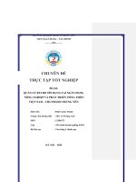Chuyên đề thực tập tốt nghiệp: Quản lý rủi ro tín dụng tại Ngân hàng Nông nghiệp và Phát triển Nông thôn Việt Nam - Chi nhánh Trung Yên