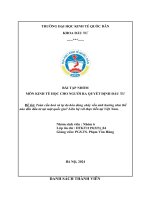 BÀI TẬP NHÓM MÔN KINH TẾ HỌC CHO NGƯỜI RA QUYẾT ĐỊNH ĐẦU TƯ Đề tài Toàn cầu hoá và tự do hóa dòng chảy vốn ảnh hưởng như thế nào đến đầu tư tại một quốc gia. Liên hệ với thực tiễn tại Việt Nam