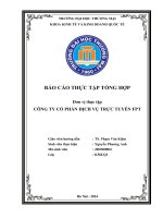 Báo cáo thực tập khoa kinh tế đại học thương mại   công ty cổ phần dịch vụ trực tuyến fpt
