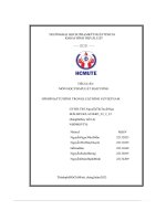 Tiểuluận pháp luật đại cương hình phạt tử hình trong luật hình sự việt nam