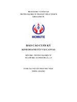 Báo cáo cuối kỳ kinh doanh túi vải canvas