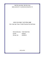 Báo cáo thực tập khoa kinh tế đại học thương mại   công ty cổ phần tập đoàn may đại dương