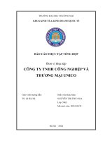 Báo cáo thực tập khoa kinh tế đại học thương mại   công ty tnhh công nghiệp và thương mại unico