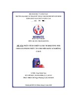 Phân Tích Chiến Lược Marketing Mix Cho Sản Phẩm Thức Ăn Cho Mèo Kitcat Không Calo.pdf