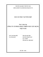 Báo cáo thực tập khoa kinh tế đại học thương mại   công ty cổ phần phát triển máy xây dựng việt nam