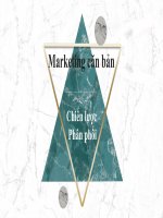 Slide tiểu luận marketing căn bản  chiến lược phân phối