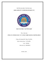 Báo cáo thực tập khoa kinh tế đại học thương mại   công ty cổ phần đầu tư và phát triển hoàng trường phát