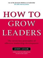 How to grow leaders