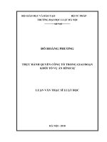 Luận văn thạc sĩ Luật học: Thực hành quyền công tố trong giai đoạn khởi tố vụ án hình sự