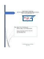 Thông tin phản hồi từ người dùng và hai dạng bài toán chính trong rs