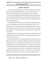 Skkn tích hợp giáo dục môi trường trong dạy học địa lí lớp 9 trường thcs