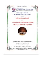 Tiểu luận cuối kỳ nguyên tắc nhân đạo trong bô luật hình sự việt nam